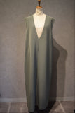 Deep Vneck onepiece