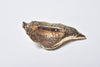 OYSTER PEARL BROCCH