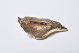 OYSTER PEARL BROCCH